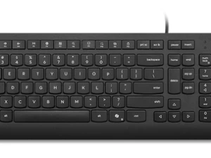 didakta.ba Lenovo Essential Wired Keyboard Black US English 103P
