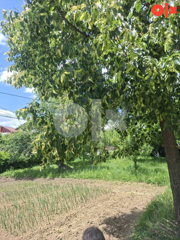 Zemljište Kobilja Glava