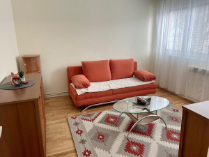 Grbavica, Dvosoban stan 54 m2