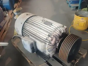 ELEKTRO MOTOR 55kW 980obrt.