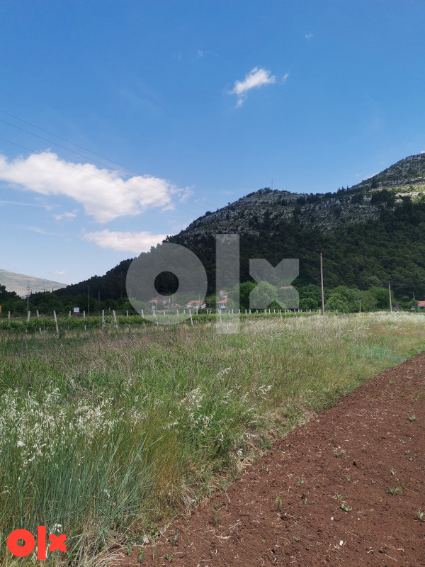 Zemljište Trebinje 1688m2 3