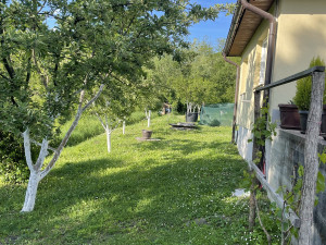 House Tuzla photo 5