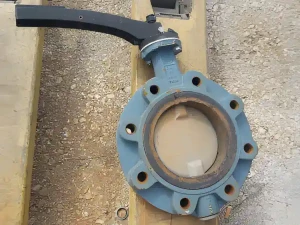 LEPTIRASTI VENTIL DN 150