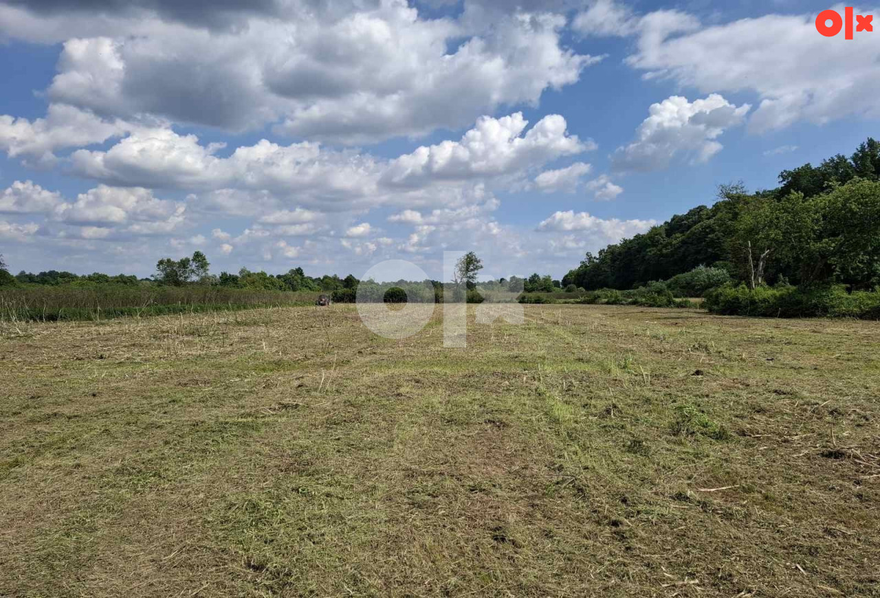 Zemljište Bistrica-16000 m2