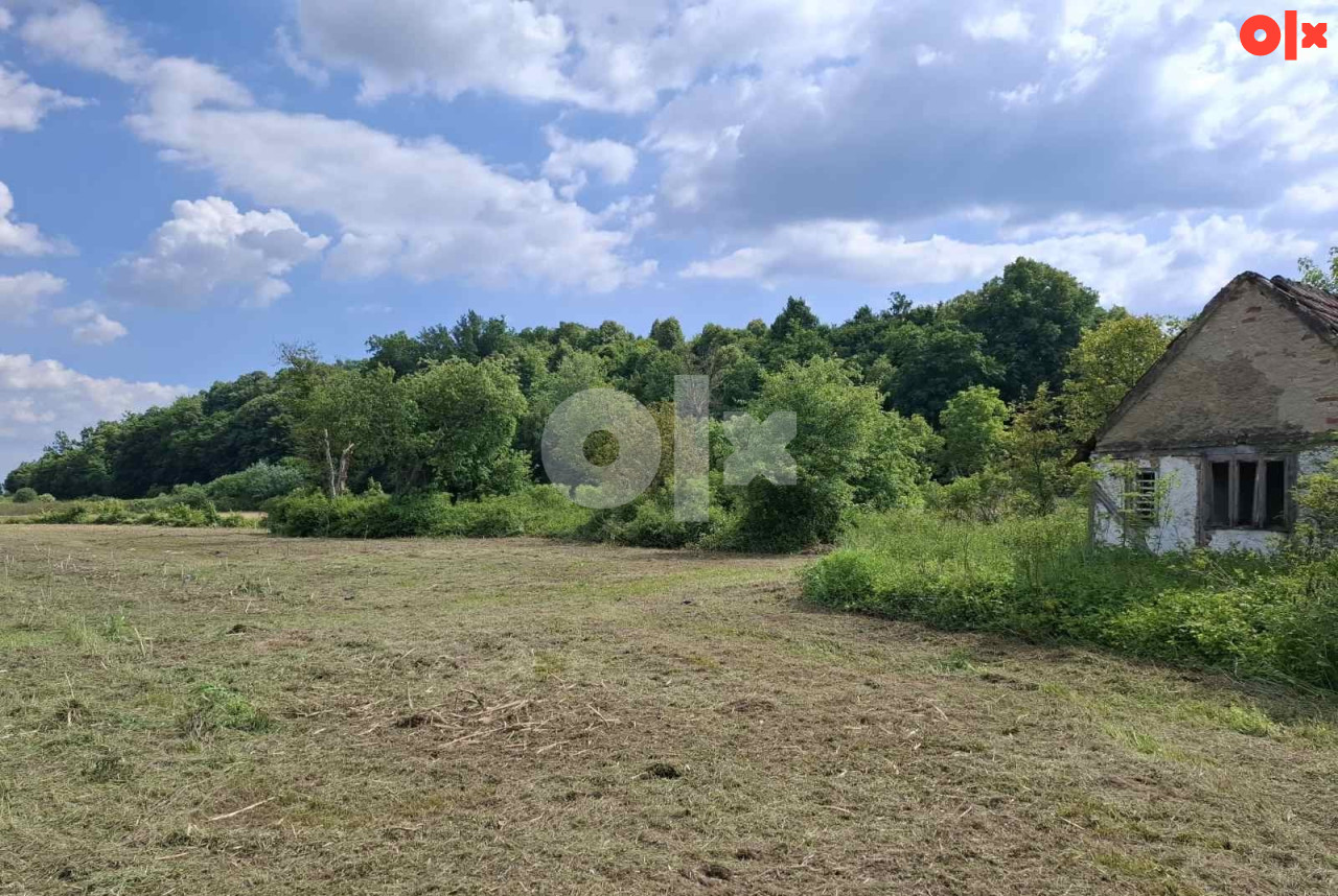 Zemljište Bistrica-16000 m2 2