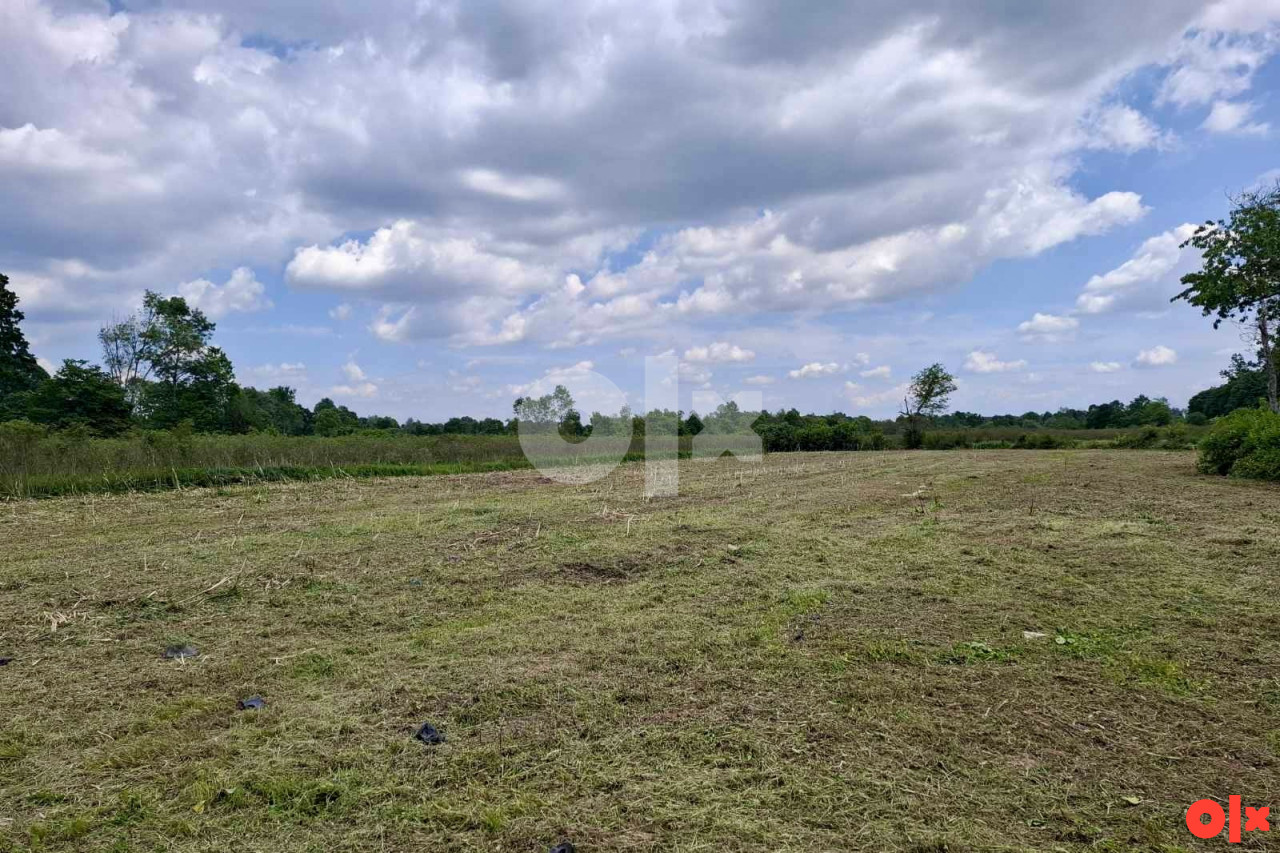 Zemljište Bistrica-16000 m2 3