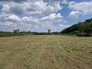 Zemljište Bistrica-16000 m2
