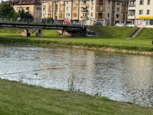 Ilidža strogi centar sa pogledom na rijeku i zeleni pojas