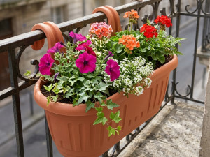 SAKSIJA ZA BALKON-AKCIJA