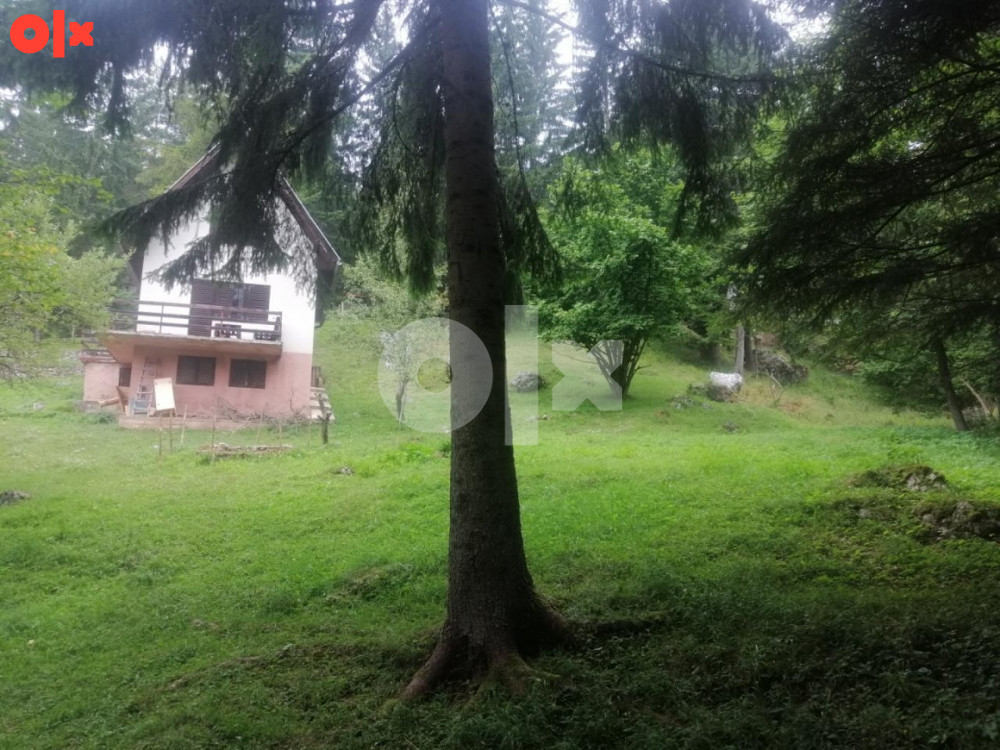 Planinski dom/krcma/vikendica 2
