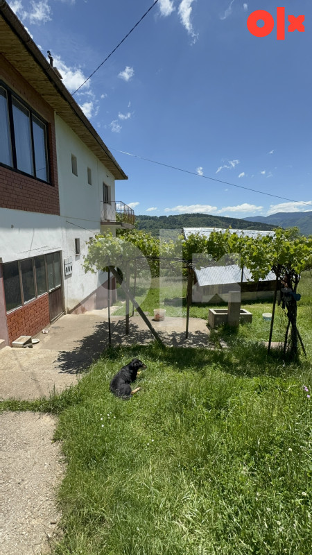 PICCOLO GRANDE PRODAJE/Kuca/Hladivode/26.500 m2 Zemljiste 3