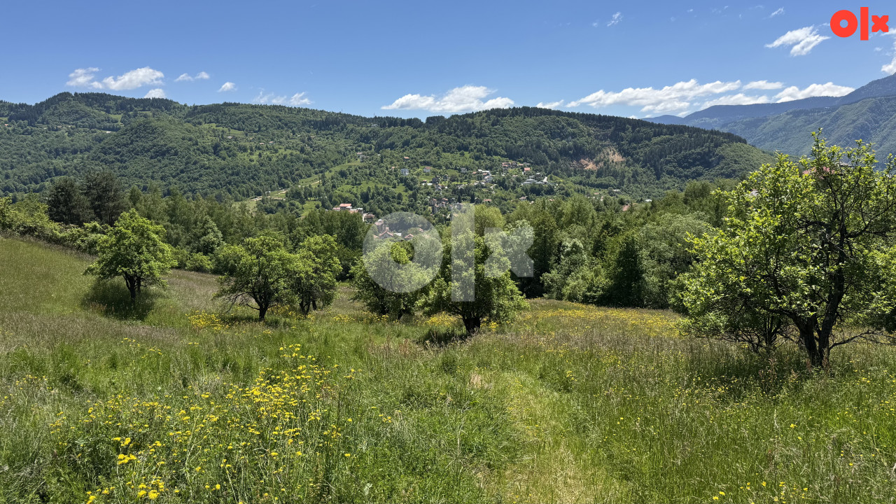 PICCOLO GRANDE PRODAJE/Kuca/Hladivode/26.500 m2 Zemljiste 6