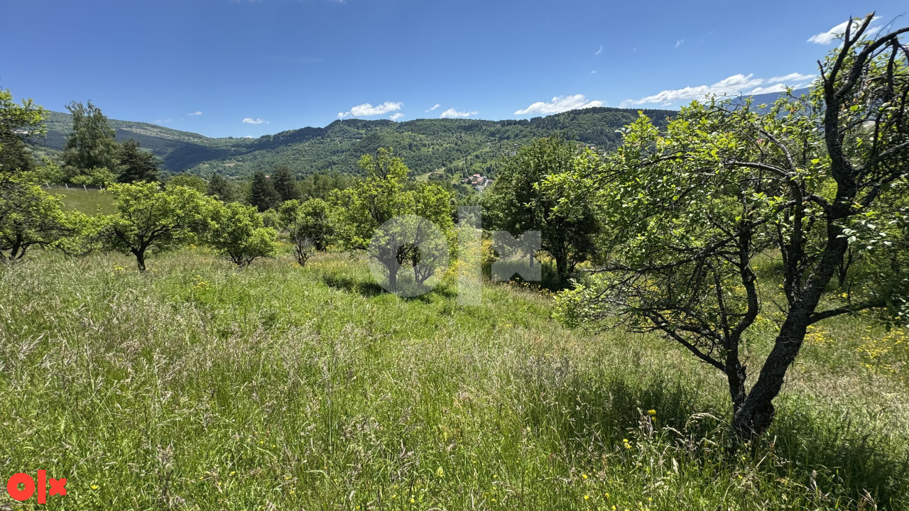 PICCOLO GRANDE PRODAJE/Kuca/Hladivode/26.500 m2 Zemljiste 8