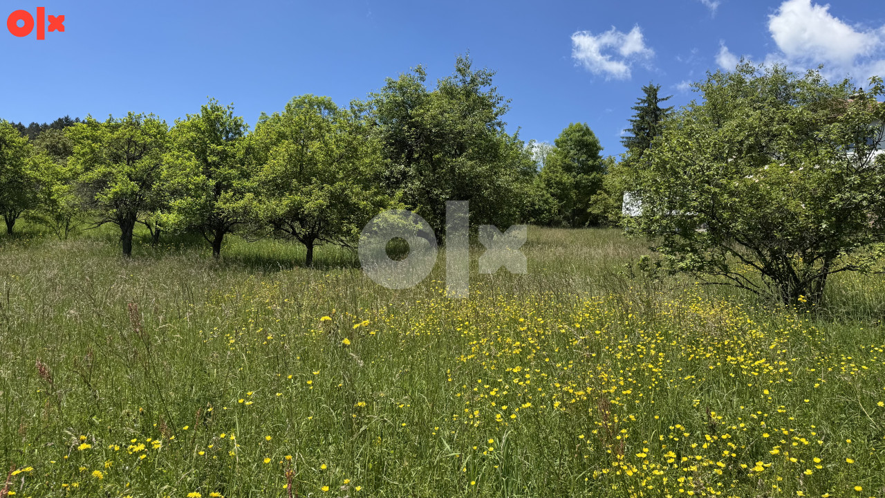 PICCOLO GRANDE PRODAJE/Kuca/Hladivode/26.500 m2 Zemljiste 9