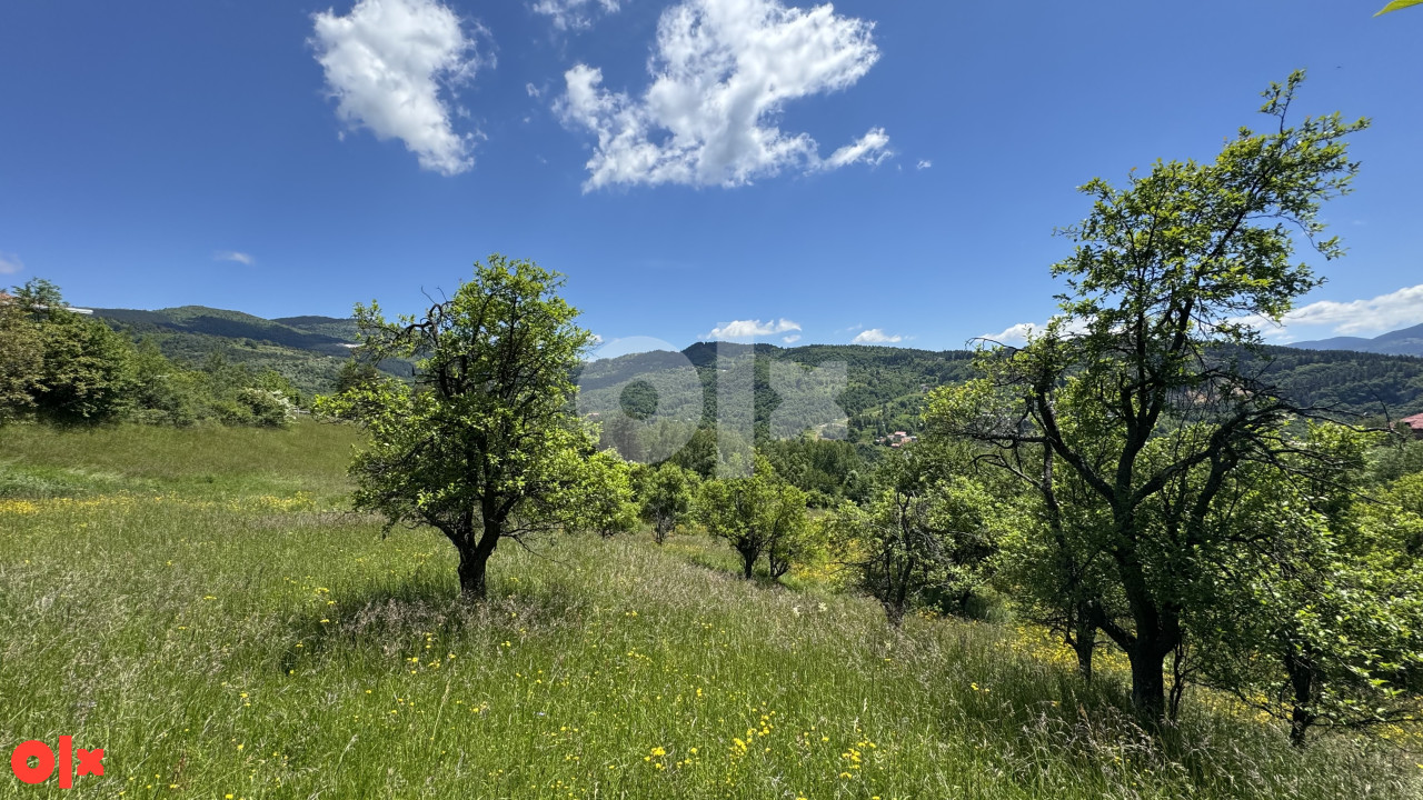 PICCOLO GRANDE PRODAJE/Kuca/Hladivode/26.500 m2 Zemljiste 11