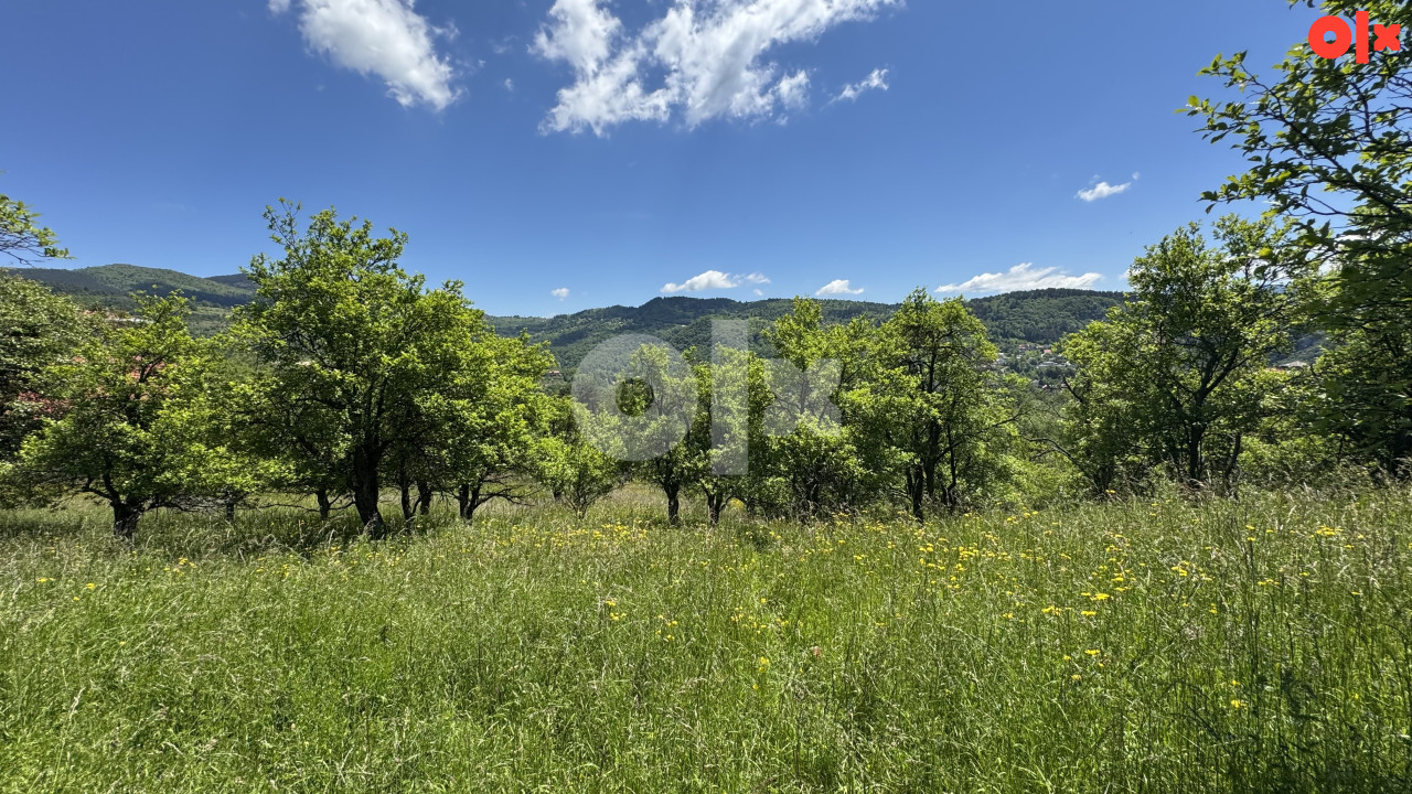 PICCOLO GRANDE PRODAJE/Kuca/Hladivode/26.500 m2 Zemljiste 13