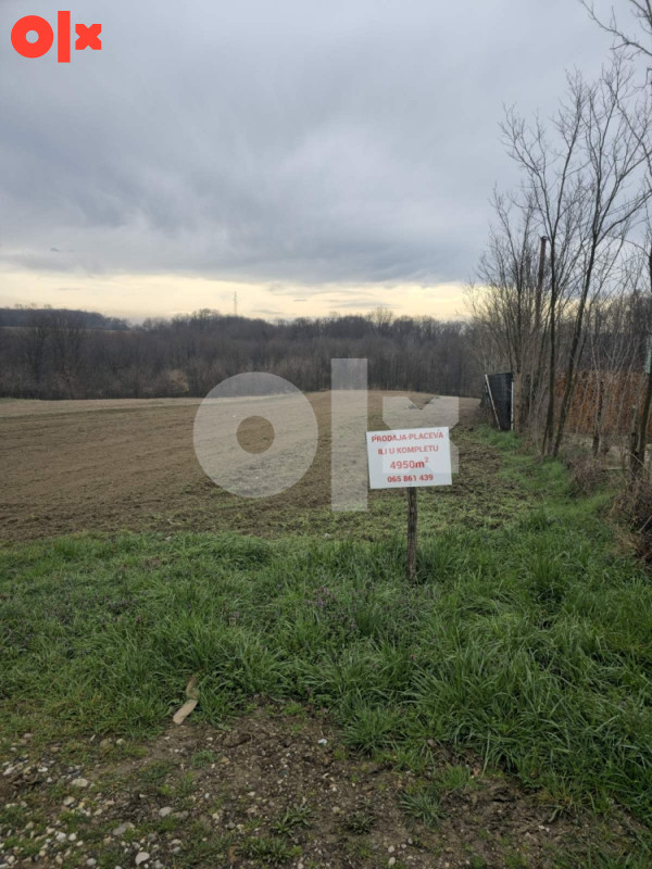 Zemljište Bijeljina Brijesnica 065861439