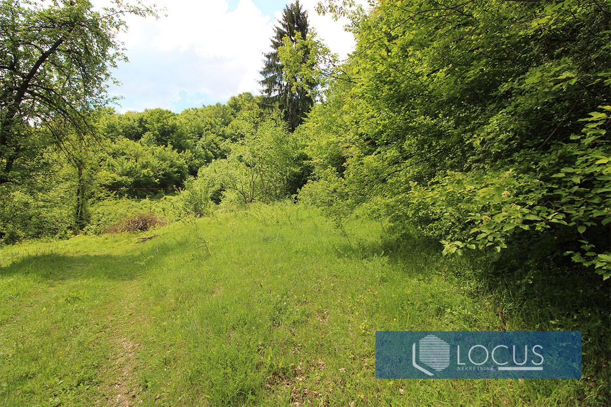 LOCUS prodaje: Zemljište površine 38.338m2, Malešići, Ilijaš 5
