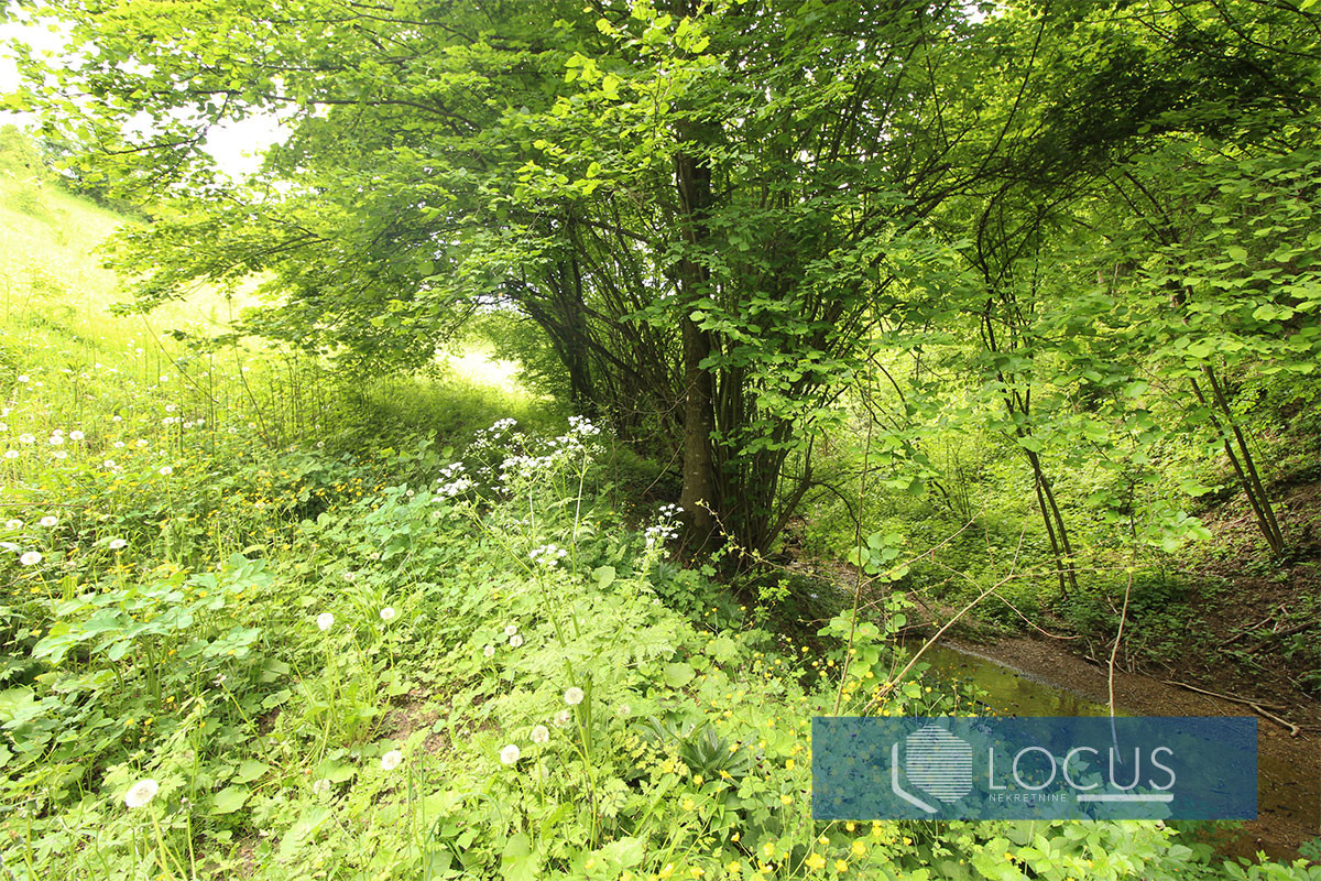 LOCUS prodaje: Zemljište površine 38.338m2, Malešići, Ilijaš 9