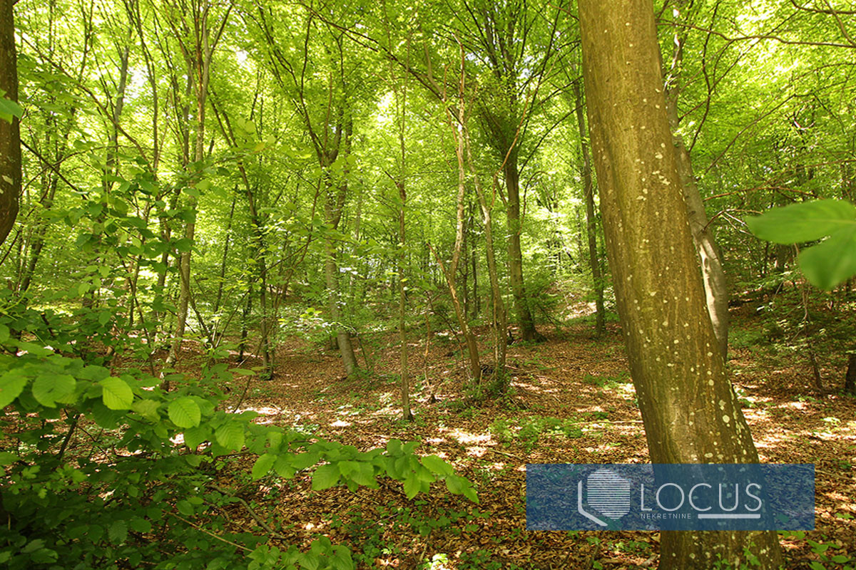 LOCUS prodaje: Zemljište površine 38.338m2, Malešići, Ilijaš 10