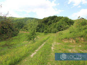 LOCUS prodaje: Zemljište površine 38.338m2, Malešići, Ilijaš