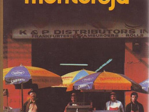 Džon Štajnbek - Slike iz Montereja