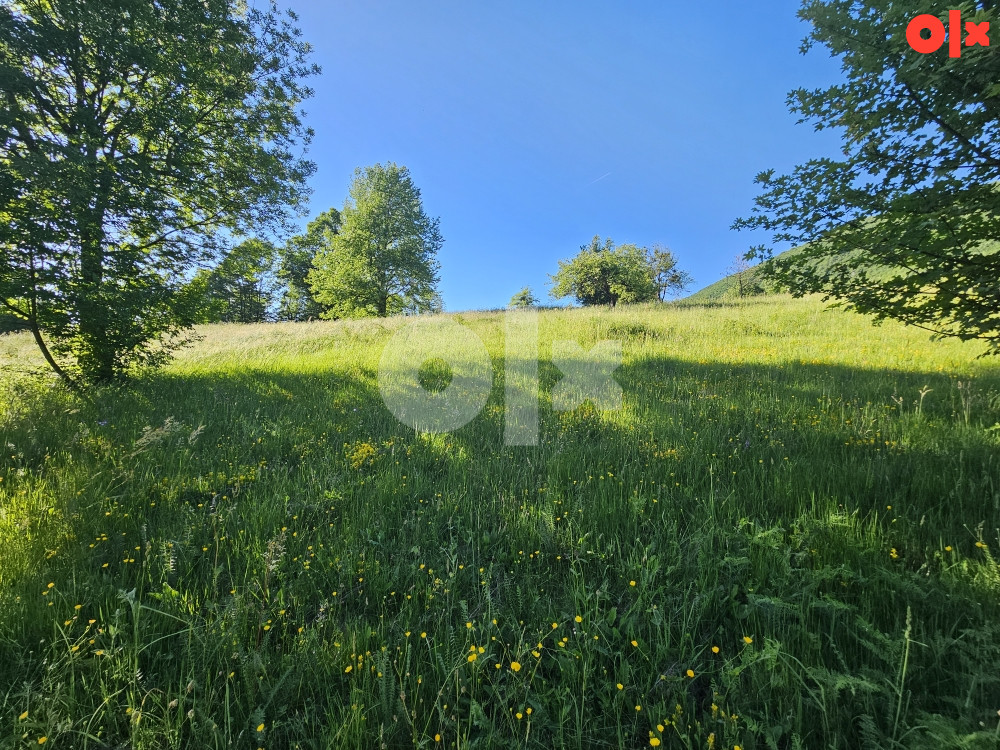 Zemljište Istočno Sarajevo Petrovici 6000 m2 2