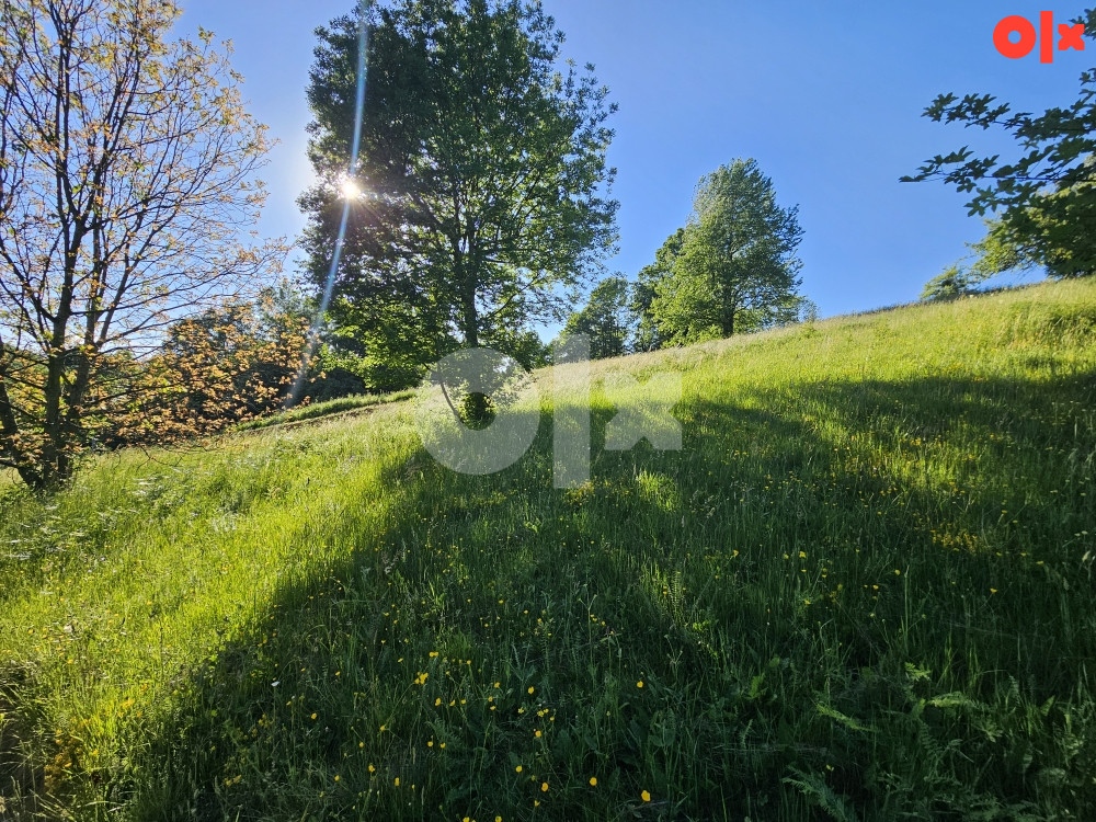 Zemljište Istočno Sarajevo Petrovici 6000 m2 3