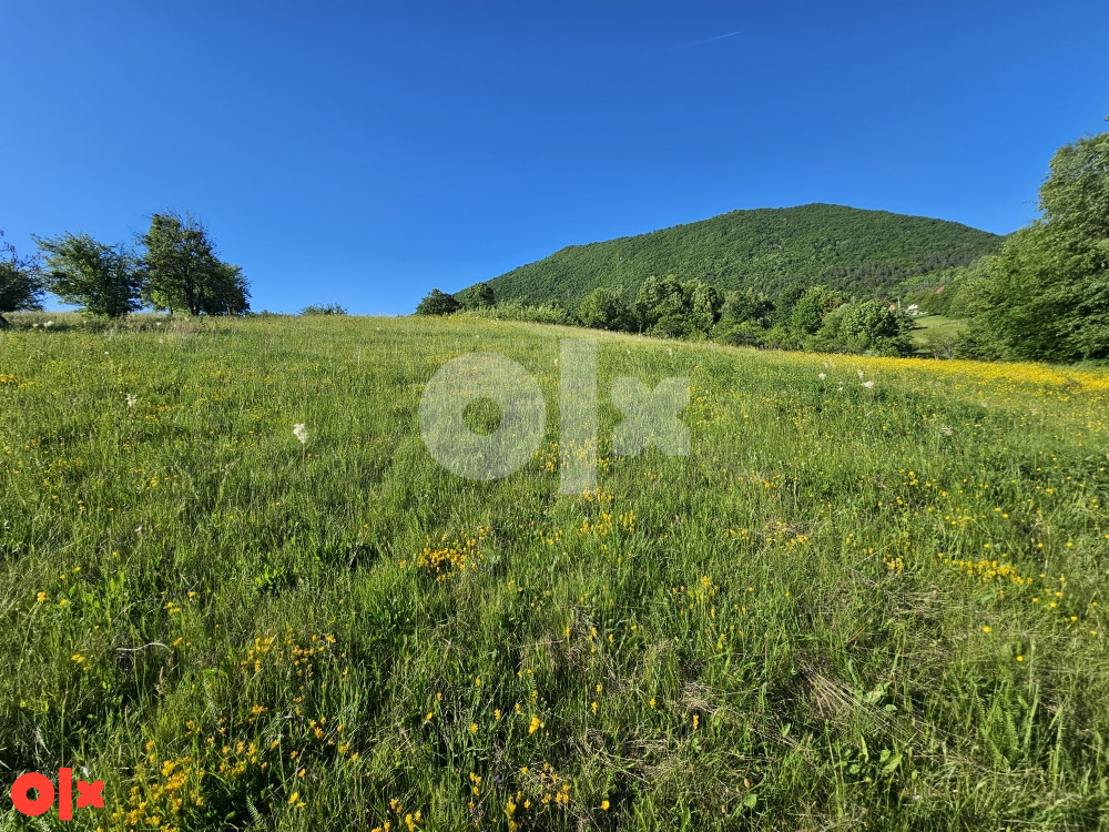 Zemljište Istočno Sarajevo Petrovici 6000 m2 5