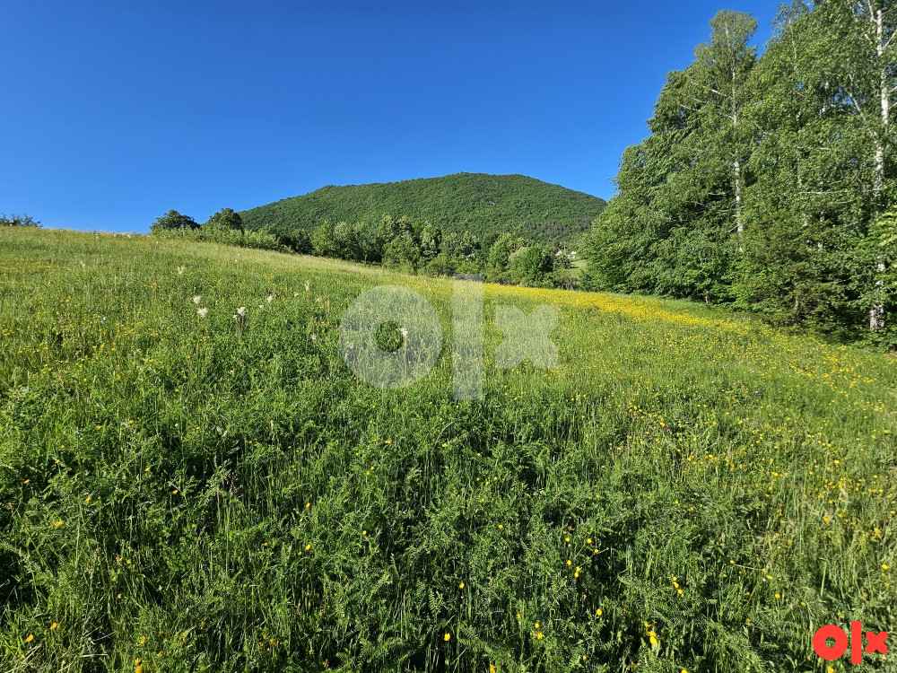 Zemljište Istočno Sarajevo Petrovici 6000 m2 9