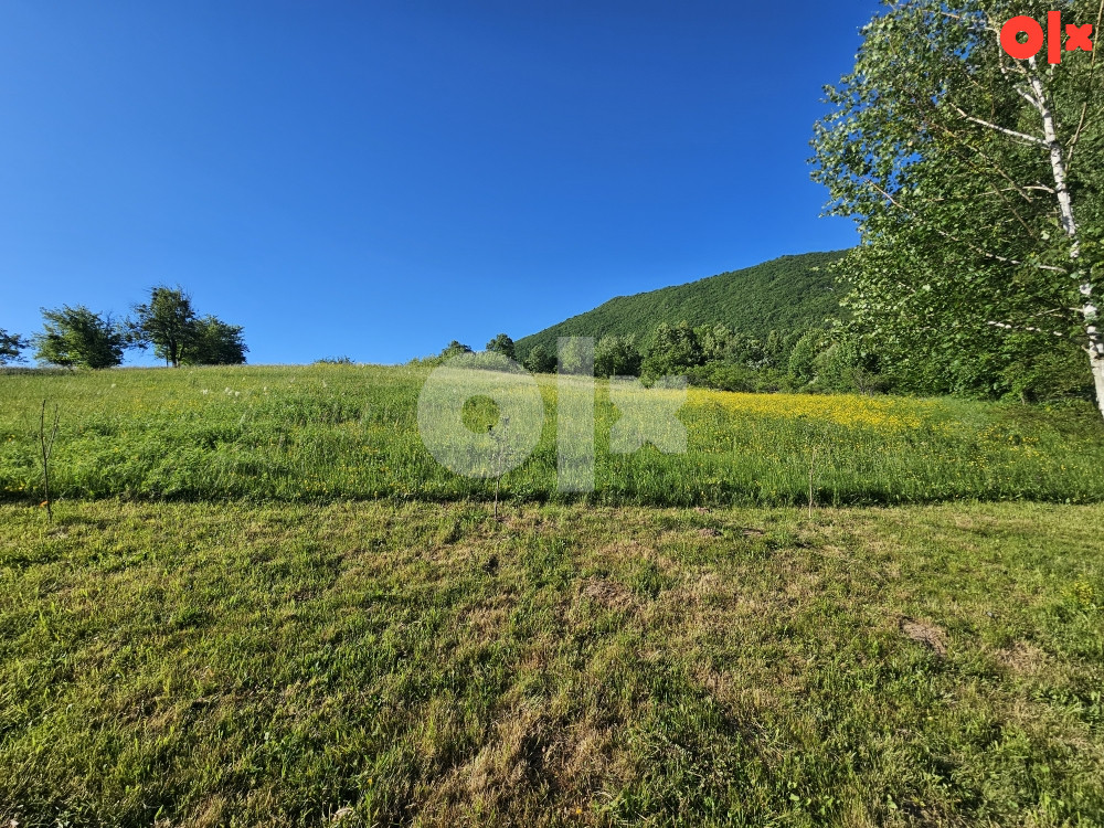 Zemljište Istočno Sarajevo Petrovici 6000 m2 11