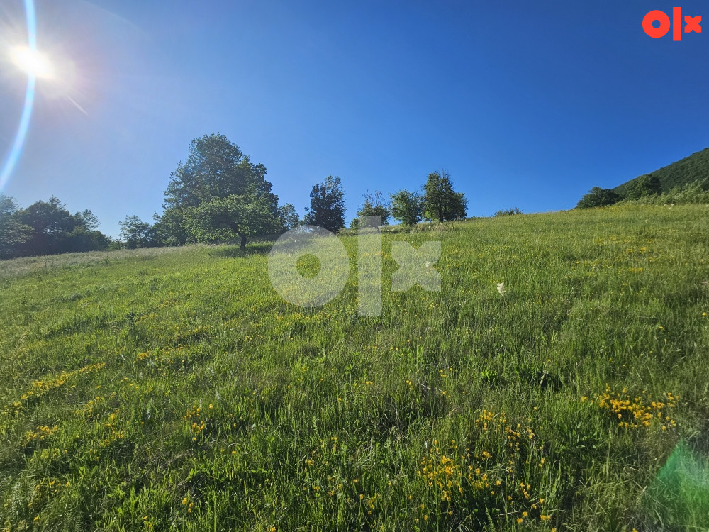 Zemljište Istočno Sarajevo Petrovici 6000 m2 8