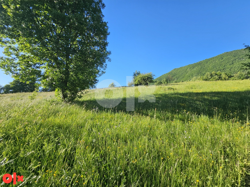 Zemljište Istočno Sarajevo Petrovici 6000 m2 15