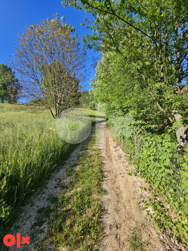 Zemljište Istočno Sarajevo Petrovici 6000 m2 14