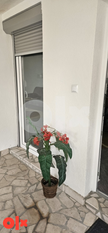 Izdajem stan 061265955 cijena sa rezijom slobodan od 25 sl mjesec 2