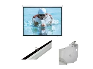 Platno za projektor Everest MPP-200 200*200 cm