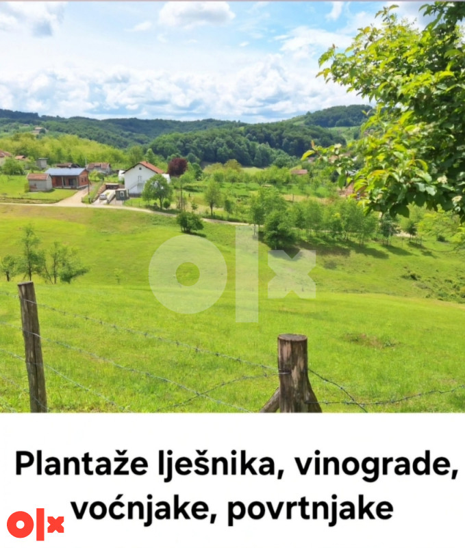 Zemljište Saračica-Motike  Banja Luka 5