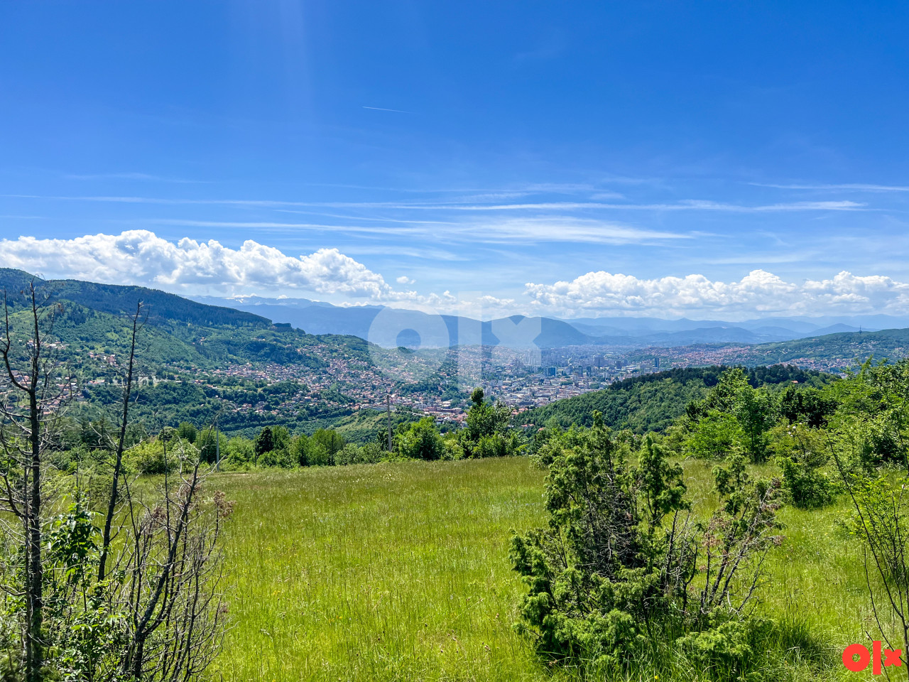 Borije zemljište sa pogledom na grad 3.900m2