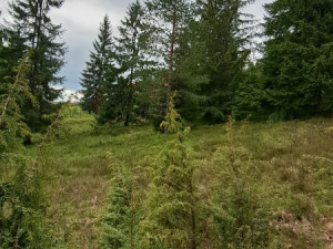 Zemljište Nišići od 35,000 KM