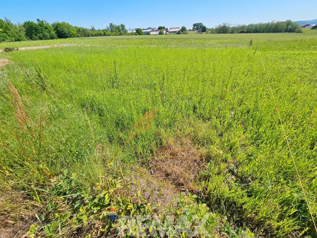 Potpuno ravan plac 1000 m2 u Jakupovcima 3