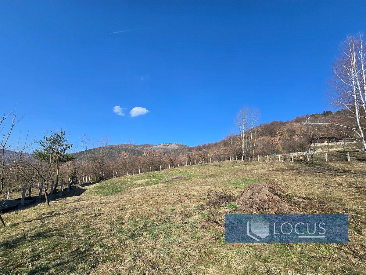 LOCUS: Parcela površne 1000m2, Pionirska dolina, Centar 11