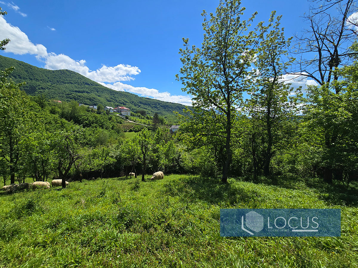 LOCUS: Zemljište površine 8.291m2, Ušivak, Hadžići 6
