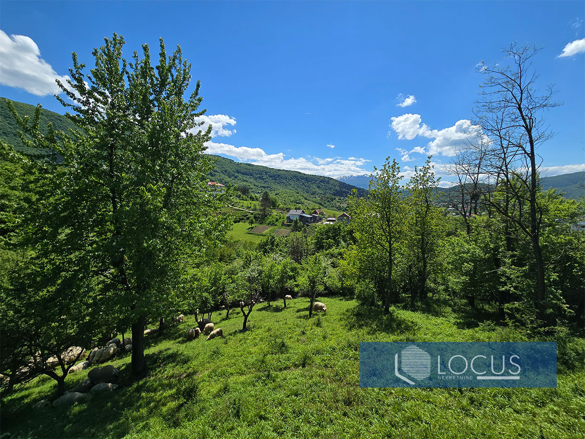 LOCUS: Zemljište površine 8.291m2, Ušivak, Hadžići 7