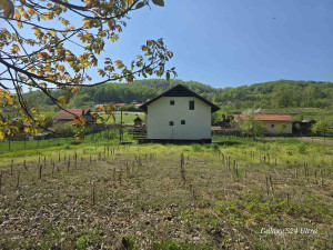 Kuća Branjevski Lokanj 120m2