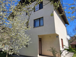 Kuća Pale-Centar 300m2
