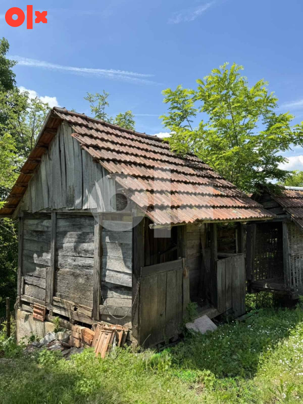 Ambar i kuruzana