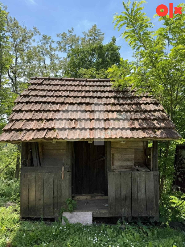Ambar i kuruzana 2