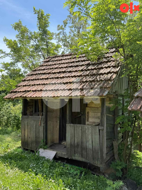 Ambar i kuruzana 3