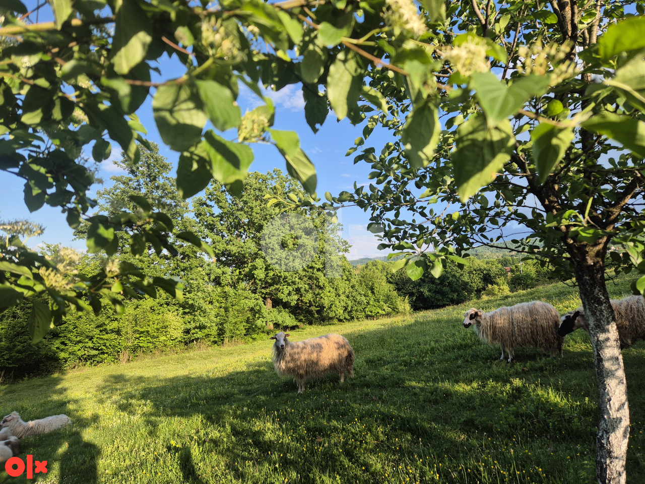 Garaga.Priroda,mir,pravo selo u  blizini centra Banjaluke (4 km)