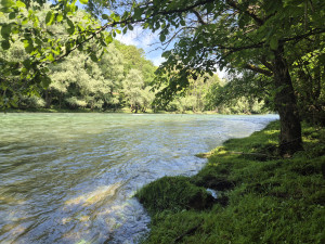 Zemljište pored Vrbasa Mjesto Krmine kontakt tel 00385958238116